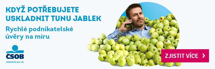 Firemní úvěr – článek